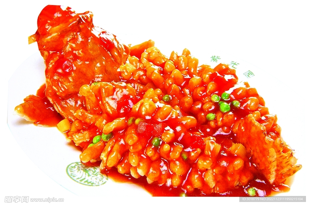 松鼠桂鱼