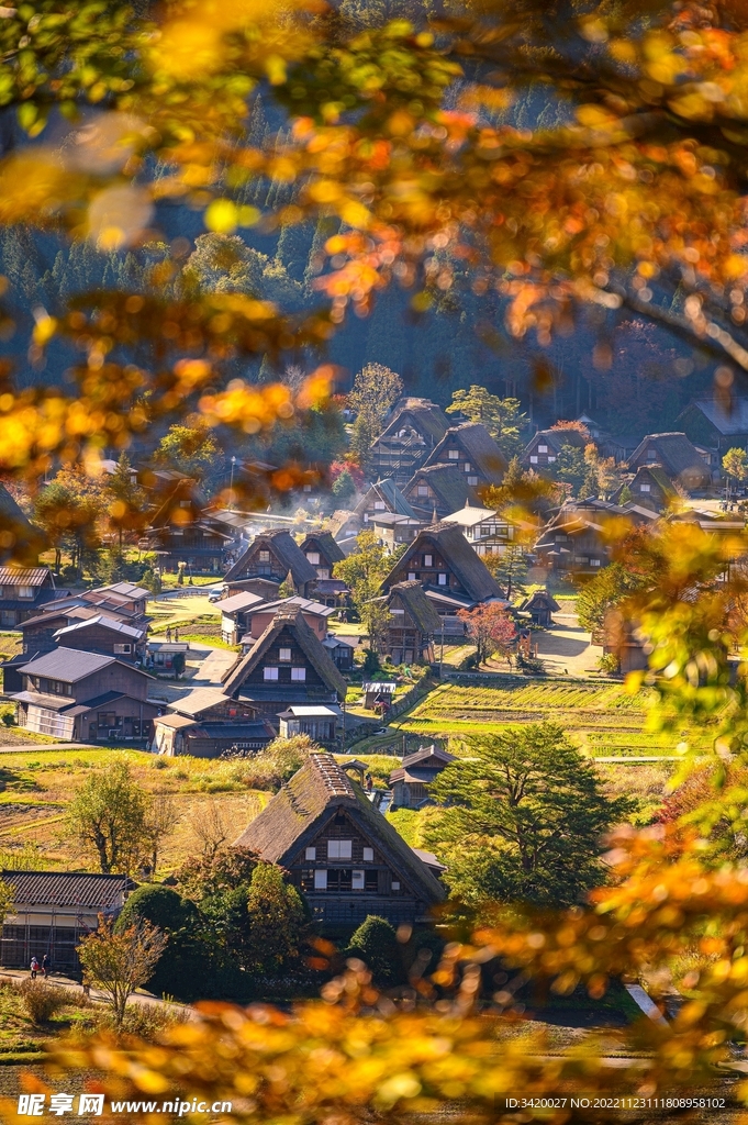 白川乡