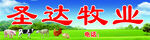 牧业