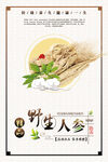 人参