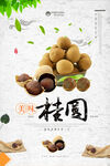 桂圆