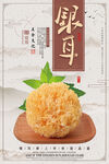 银耳广告