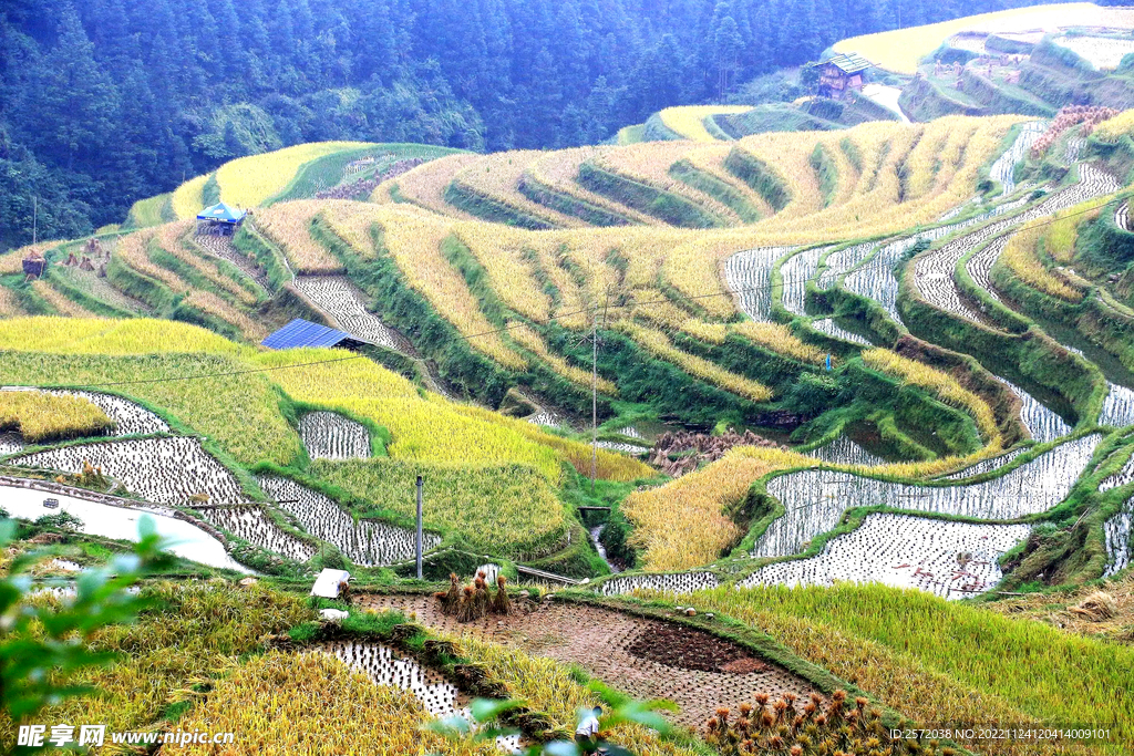 从江加榜梯田风光