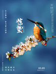 惊蛰海报图片