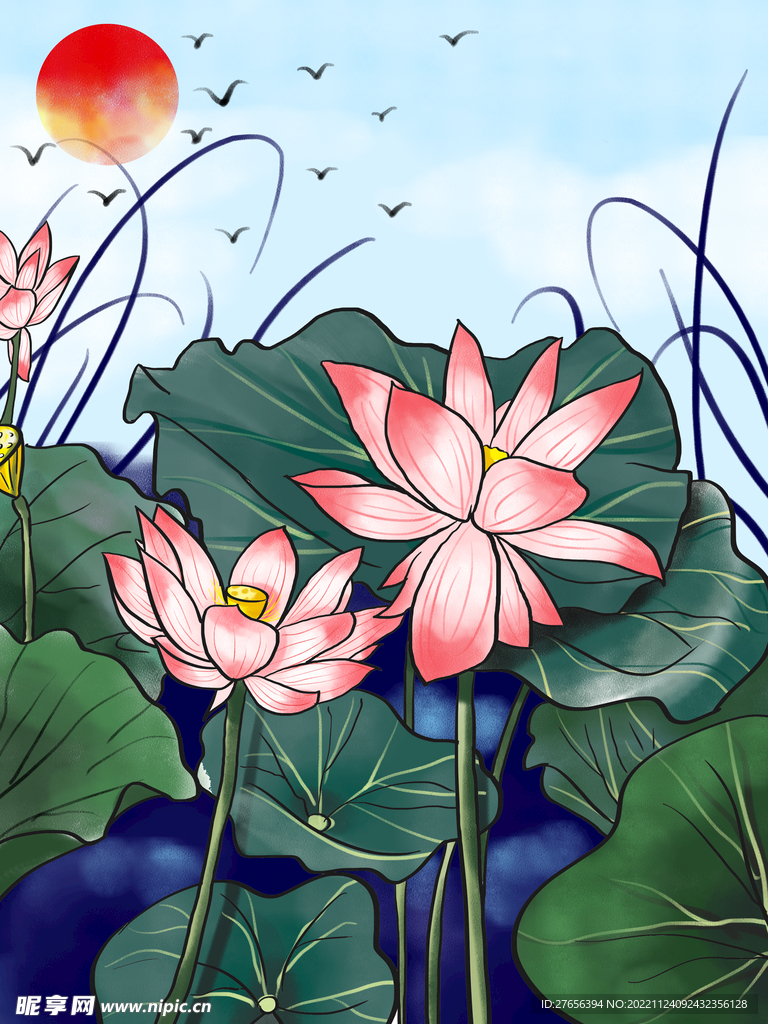 荷花