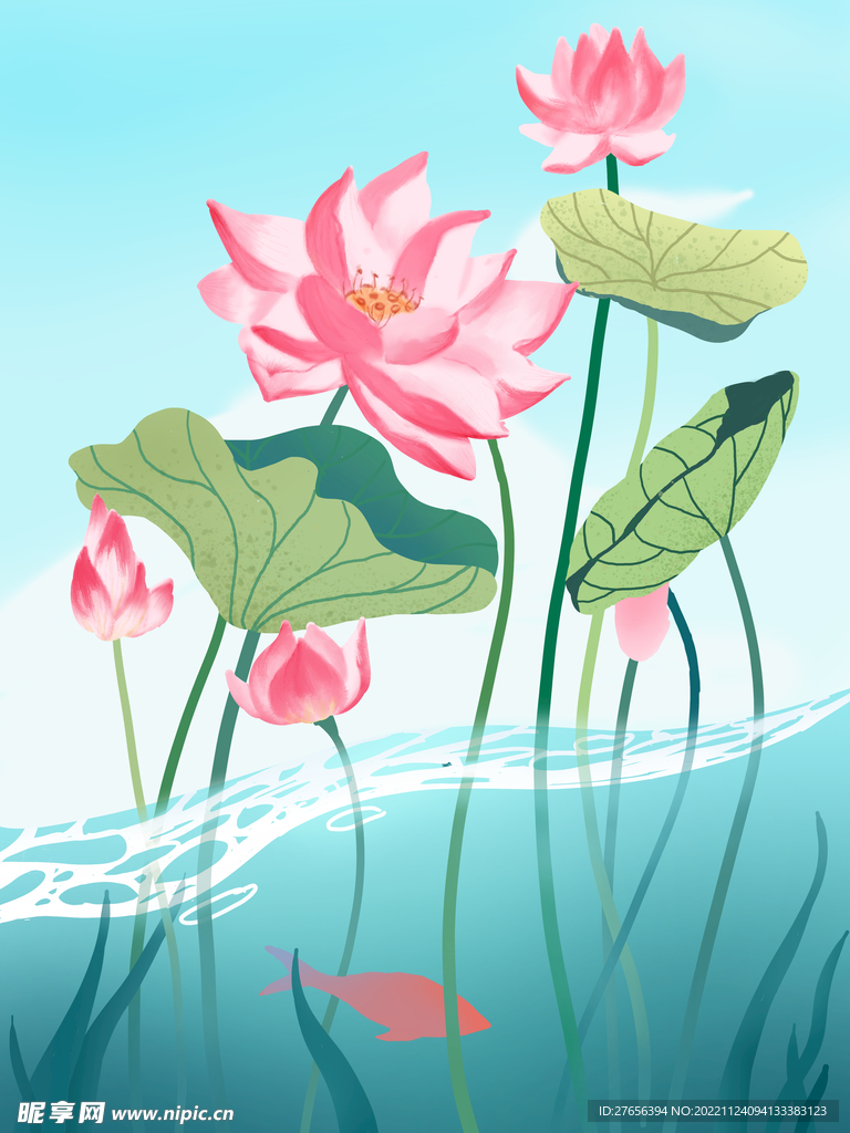 荷花