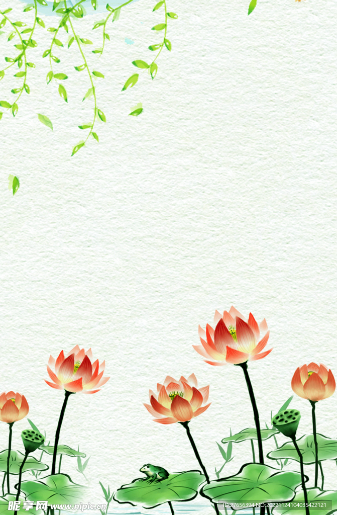 荷花