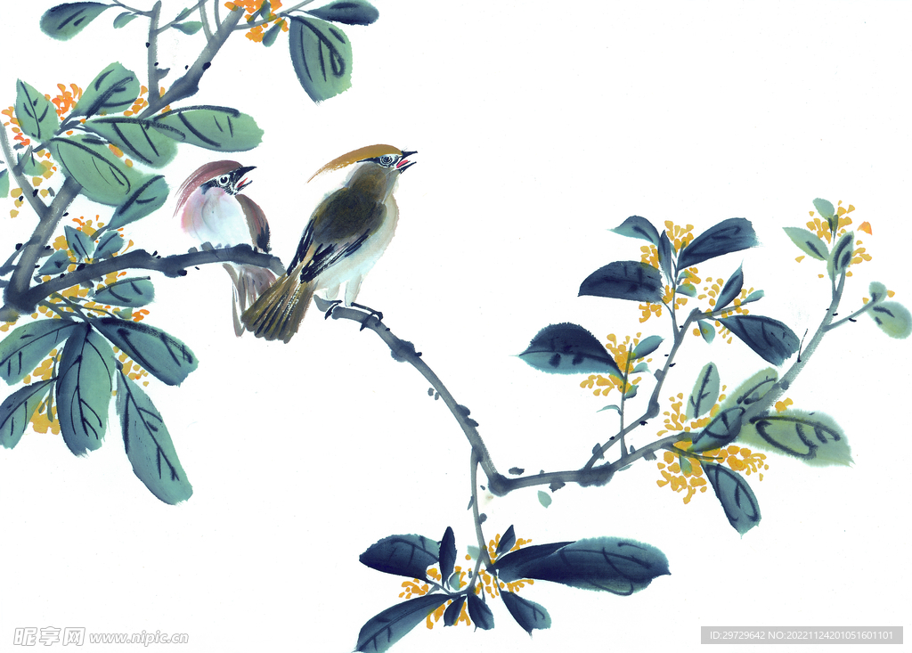 花鸟