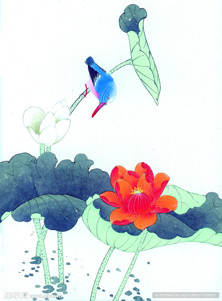 花鸟