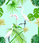 白鹤  热带植物  