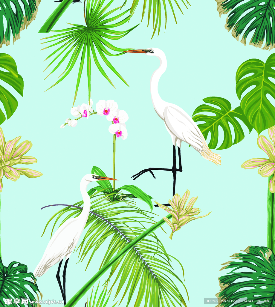 白鹤  热带植物  