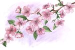 水墨桃花