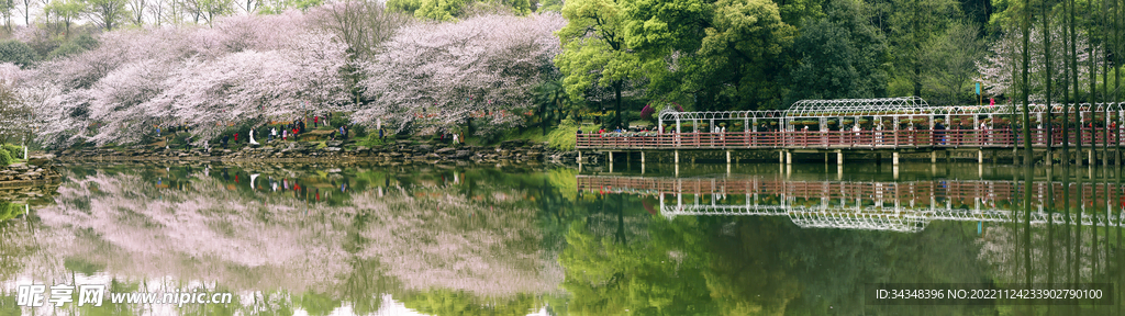 植物园