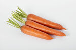 新鲜蔬菜胡萝卜红萝卜摄影图片