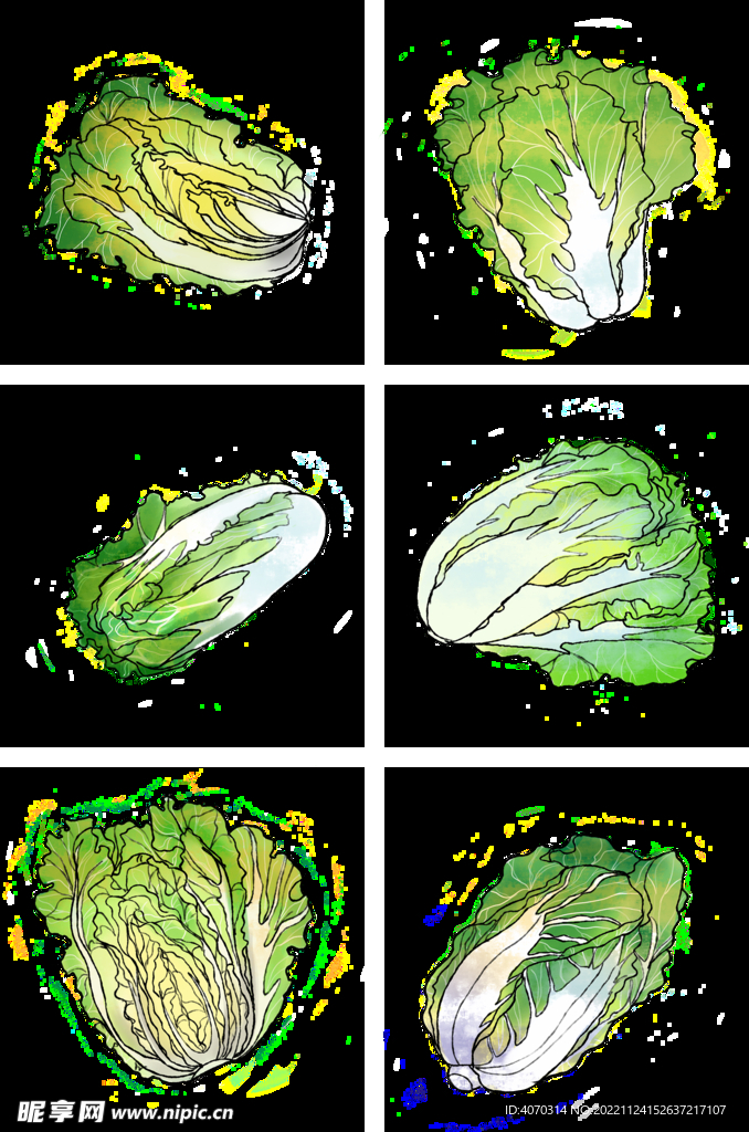 新鲜蔬菜大白菜手绘装饰