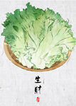 中国风手绘蔬菜餐厅装饰画生菜