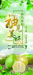 展架易拉宝