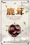 鹿茸海报