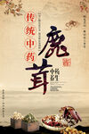 鹿茸海报