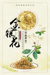 金银花