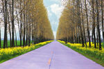 乡村公路