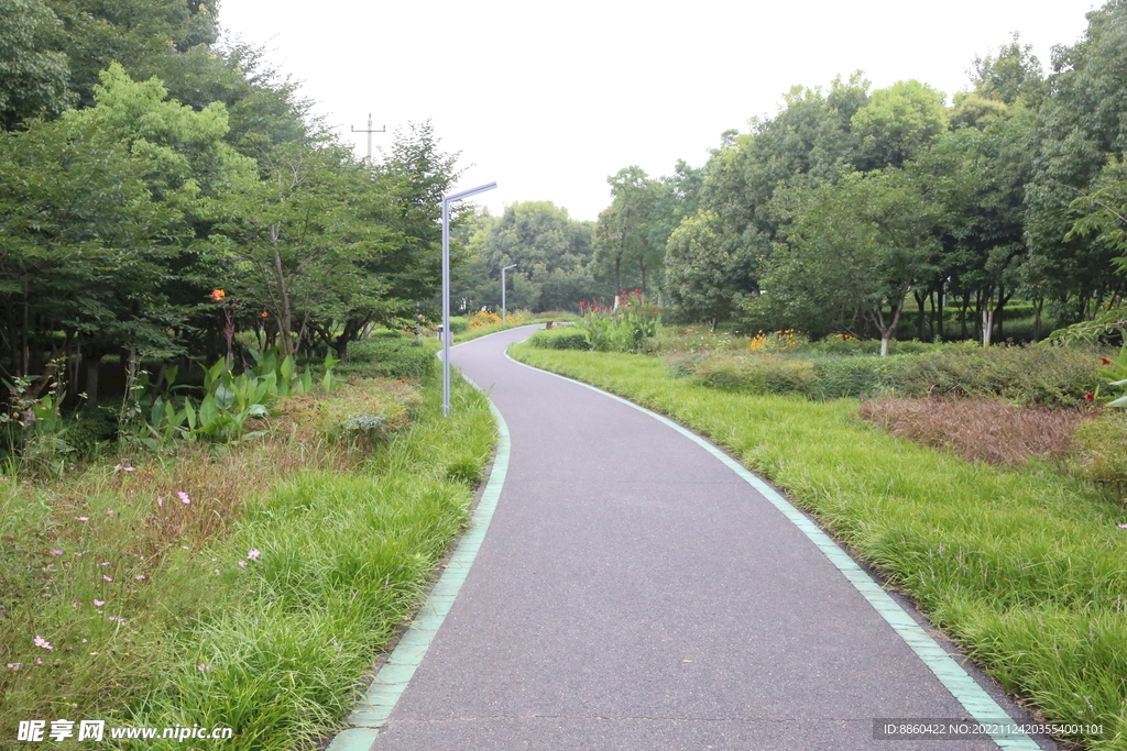  公园道路