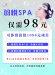 美容养生