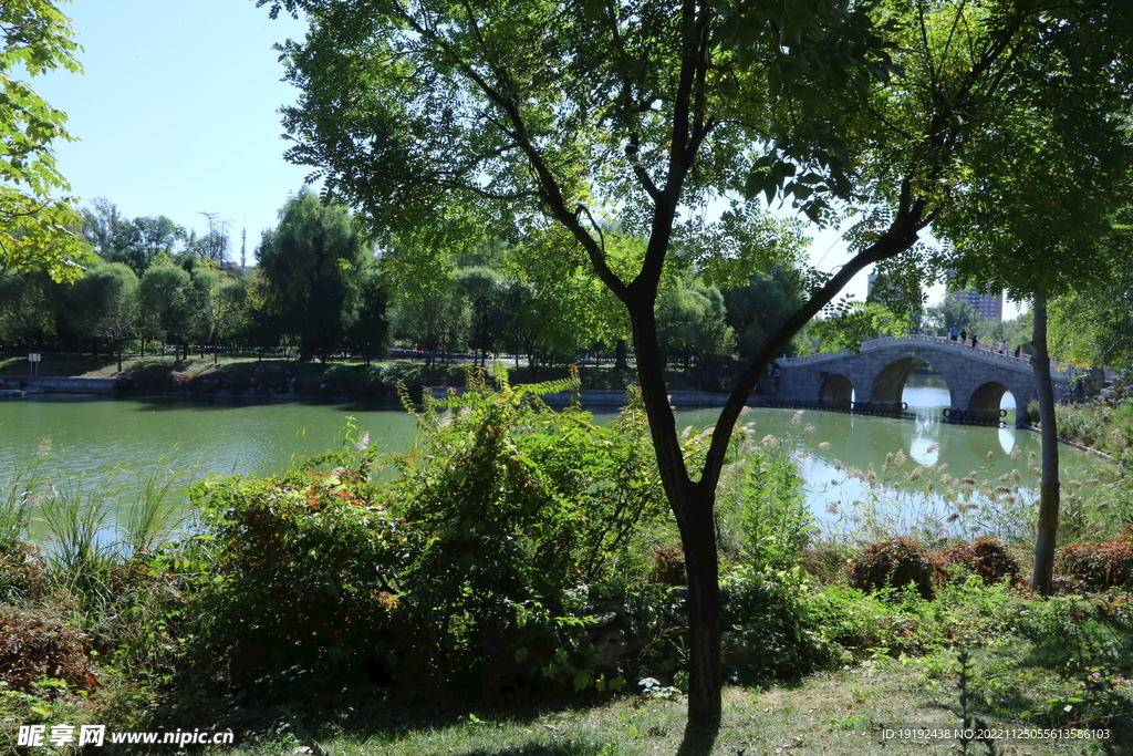 龙潭中湖风景 