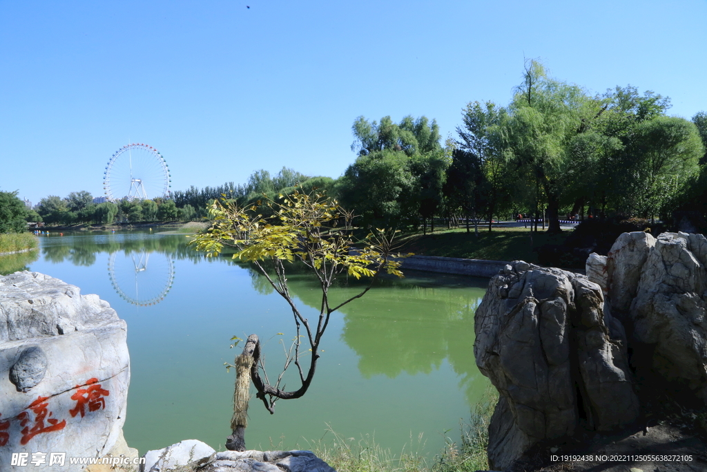 龙潭中湖风景