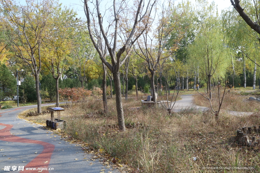 莲花池风景  