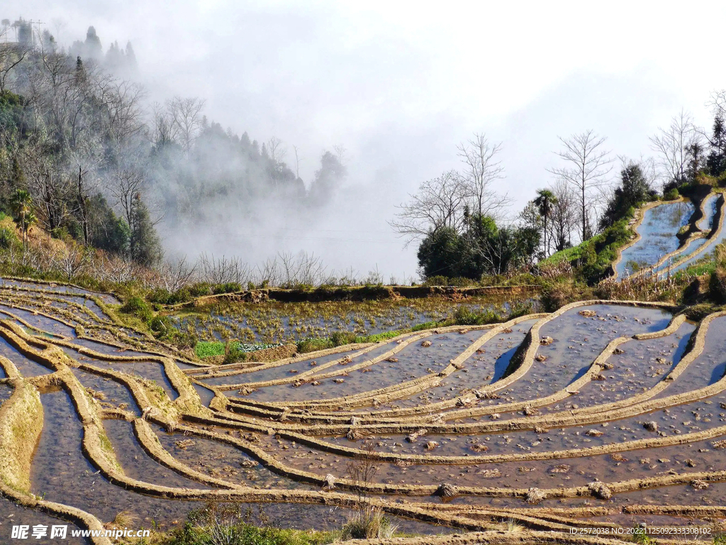 元阳哈尼梯田风光