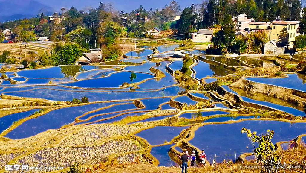 元阳哈尼梯田风光