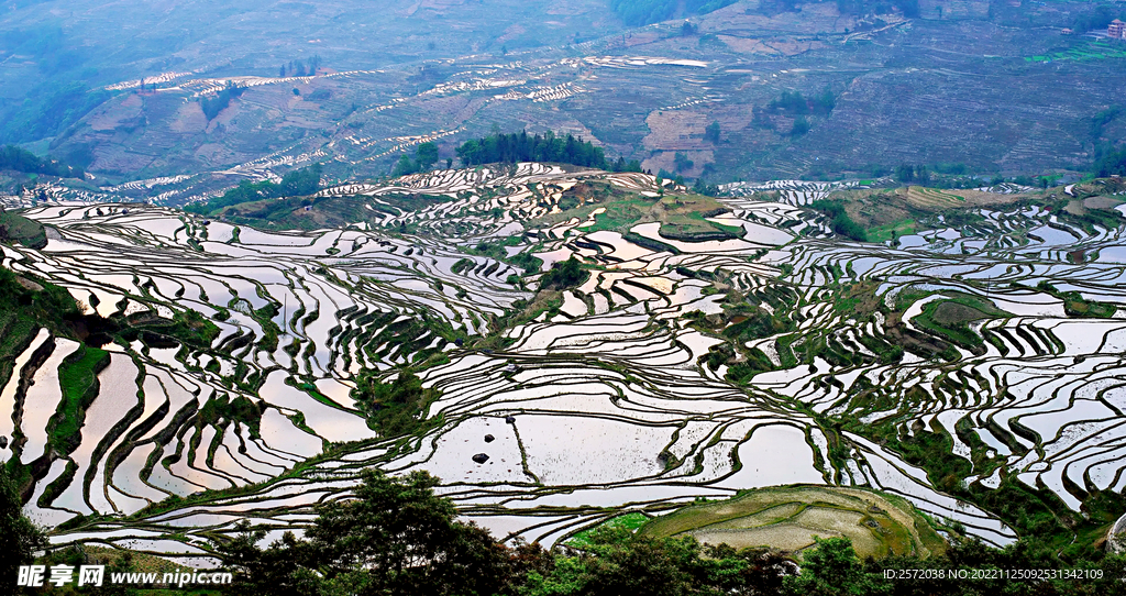 元阳哈尼梯田风光