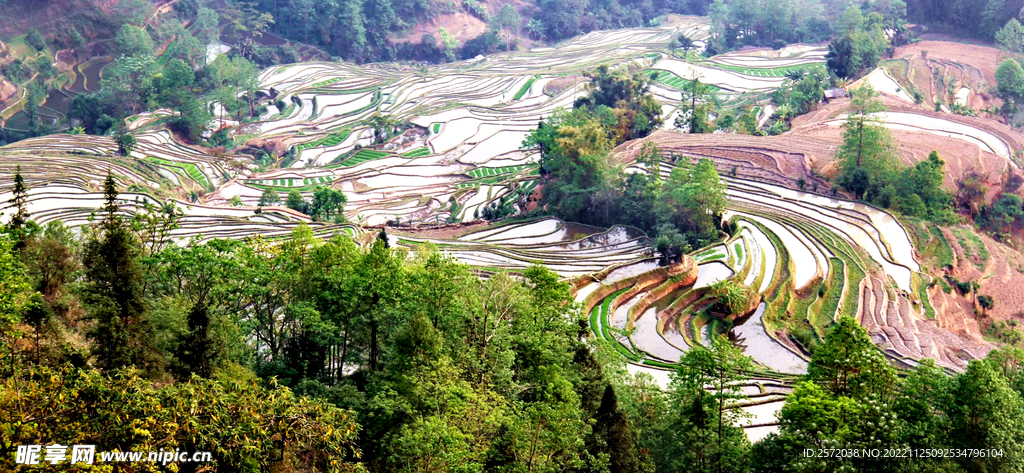 元阳哈尼梯田风光