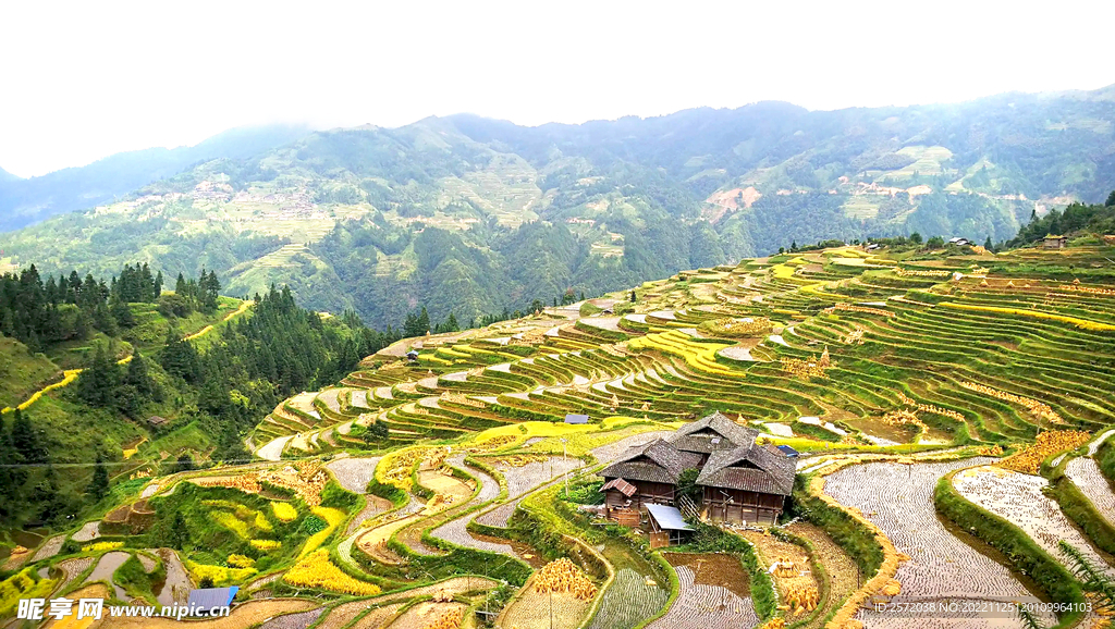 从江加榜梯田风光