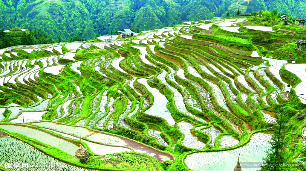 从江加榜梯田风光