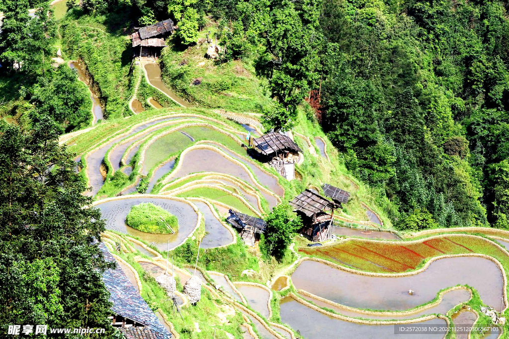 从江加榜梯田风光