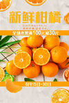 水果海报
