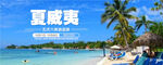 夏威夷banner