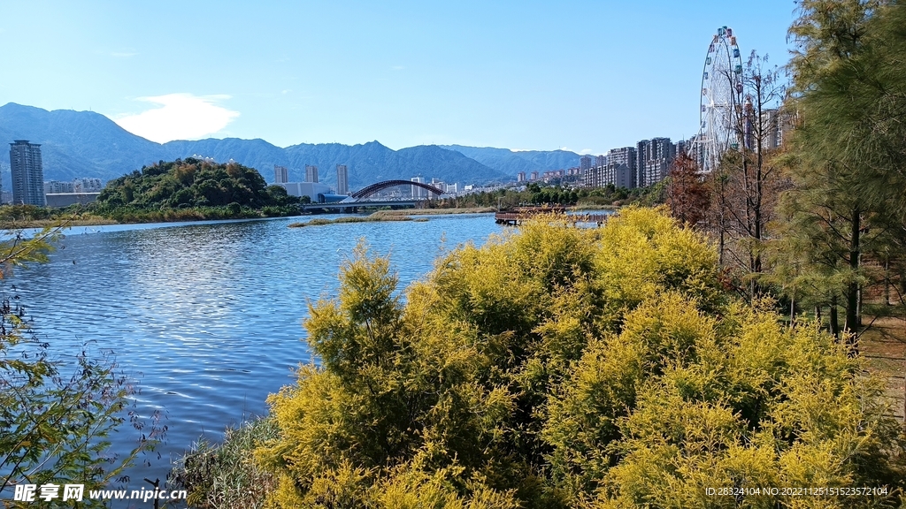 摩天轮