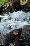 狂放的流水