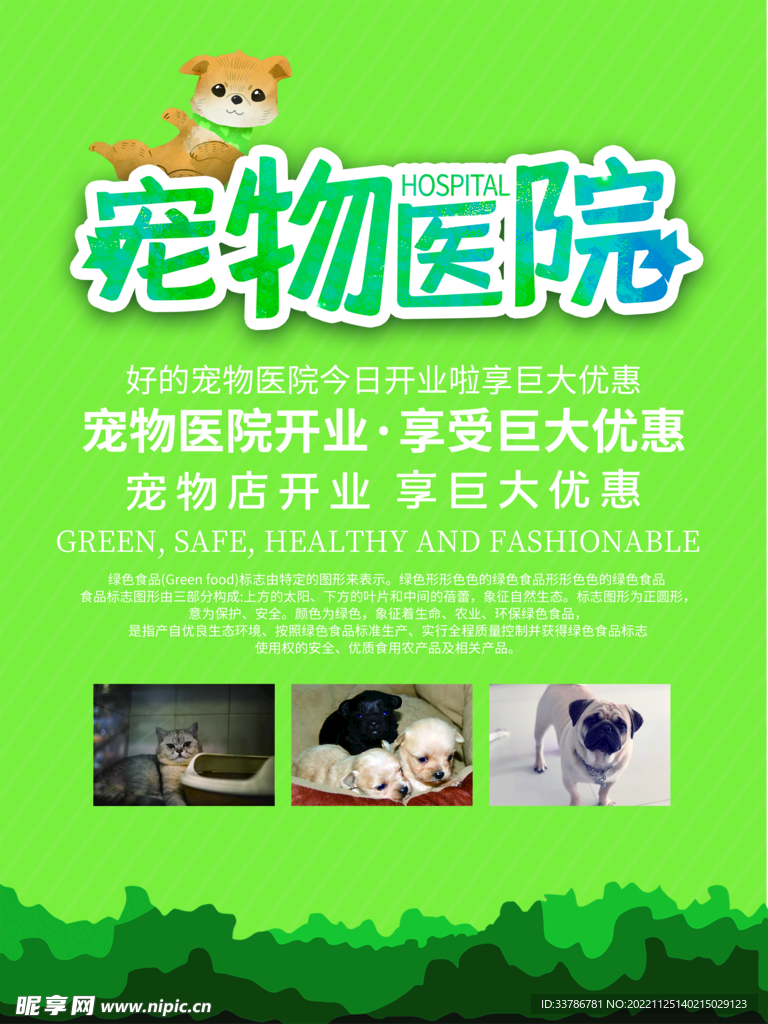 小清新宠物医院海报