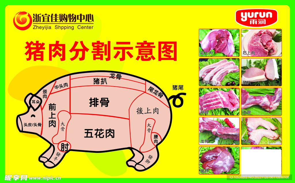 猪肉分割示意图