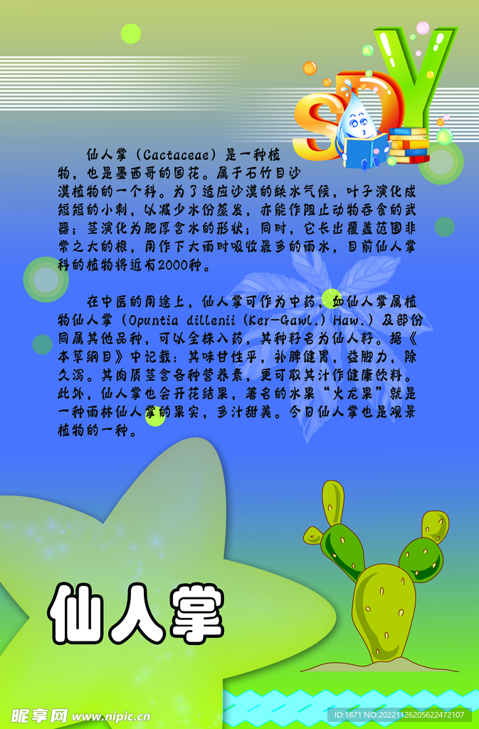 植物科普 仙人掌