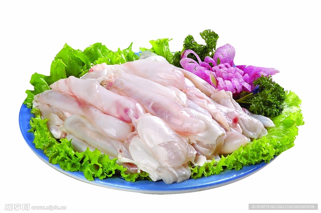 鲜鱼肚