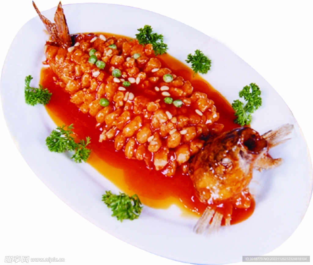 松鼠桂鱼