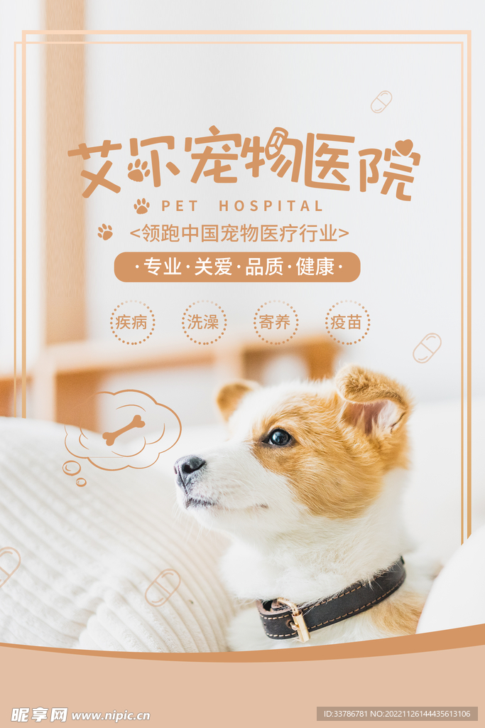 可爱清新宠物医院治疗海报