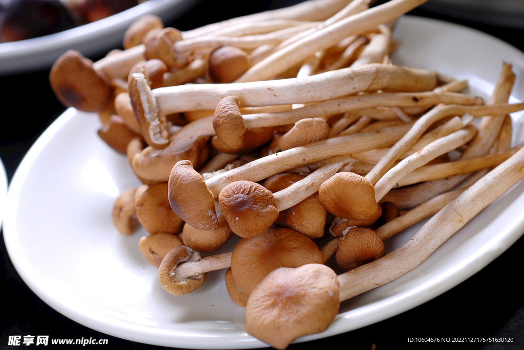 海鲜汤锅类茶树菇