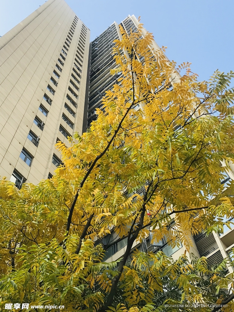 城市小区风景 