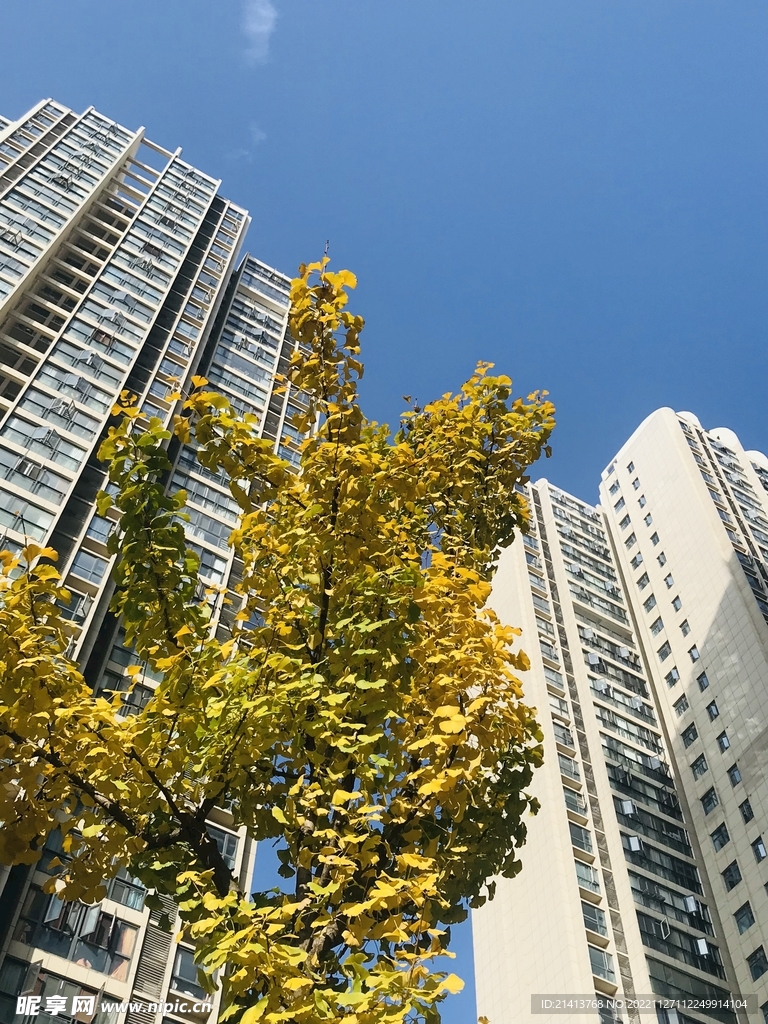 城市小区风景 